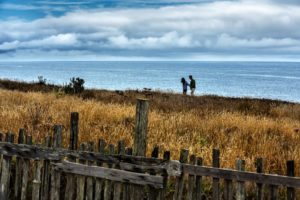 Field and fence near the Sea Ranch Lodge. 