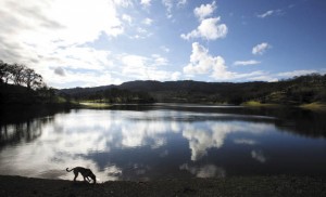 Lake Suttonfield, Glen Ellen. (photo by Crista Jeremiason)