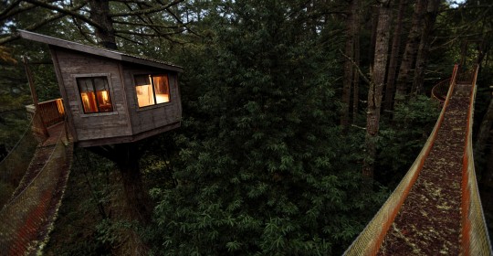 Salmon Creek Ranch, a working ranch with a treehouse that will soon be rented out. Rope bridges leading to the treehouse. (Chris Hardy)