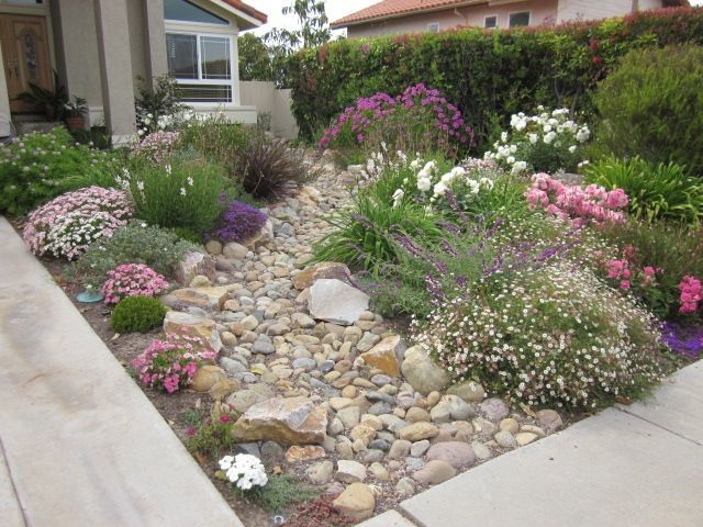 Create a Beautiful Drought Resistant Front Yard