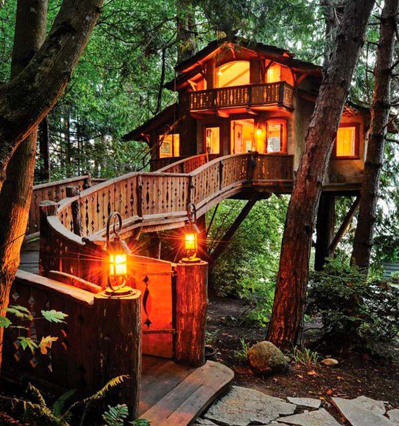 Tree Houses Tree Houses
