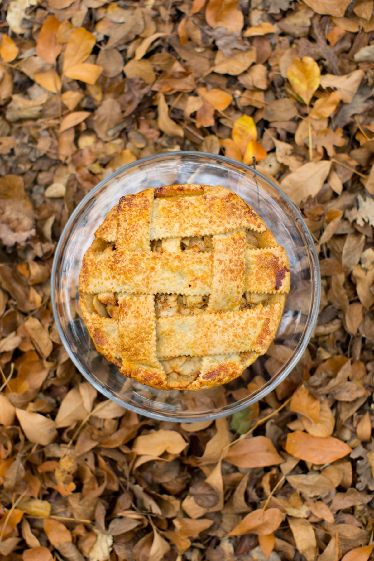 ThanksgivingStyledShoot-58