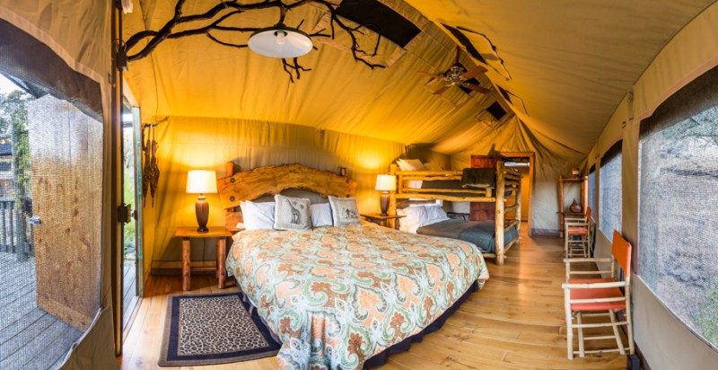 Bed in a luxury tent at Safari West. (Photo courtesy of Safari West)