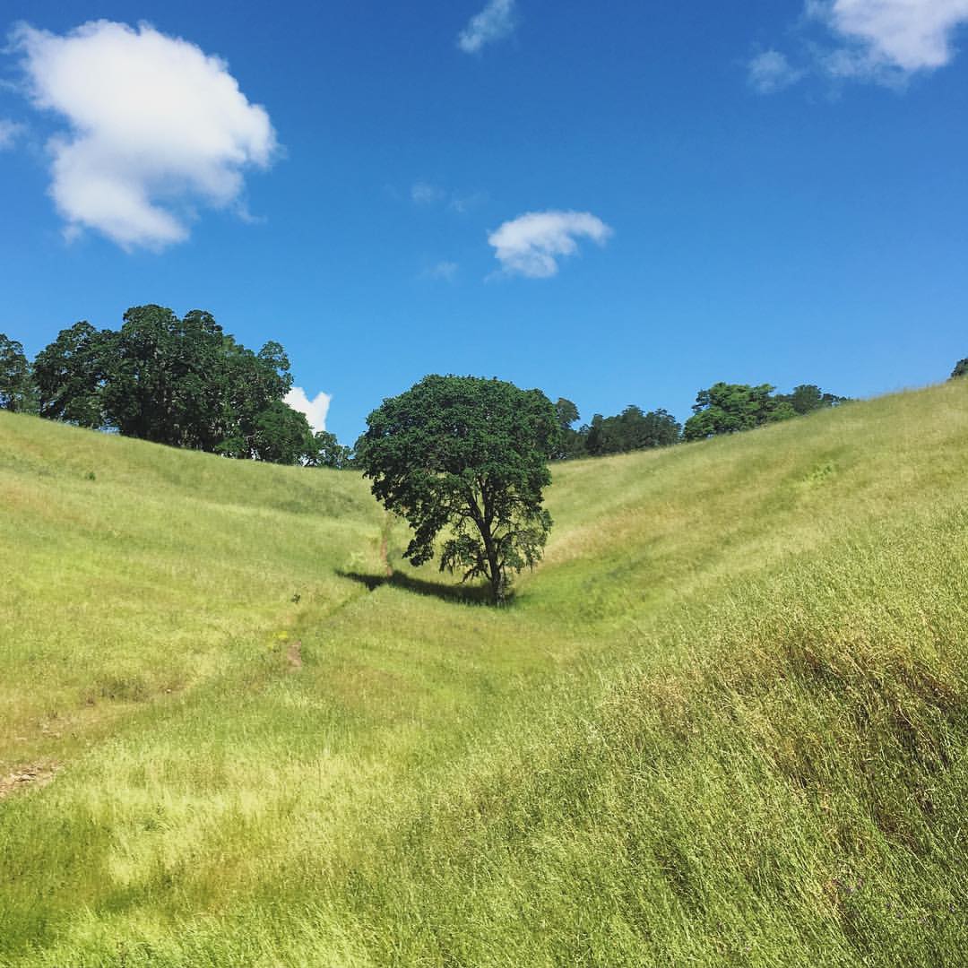 Sonoma Valley Hikes