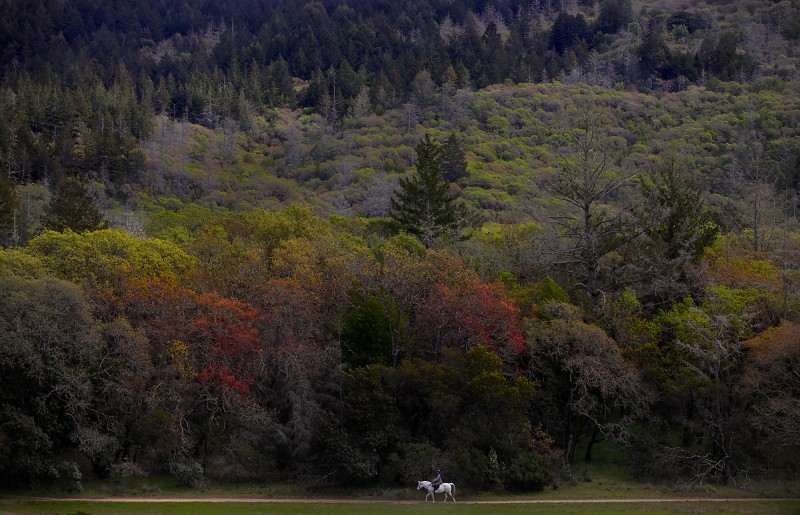 Rosanna Morse and her Arabian, Mystic, of Sebastopol, plod along the Lake Trail near Lake Ilsanjo, Tuesday April 5, 2011 at Annadel State Park in Santa Rosa. (Kent Porter / Press Democrat) 2011