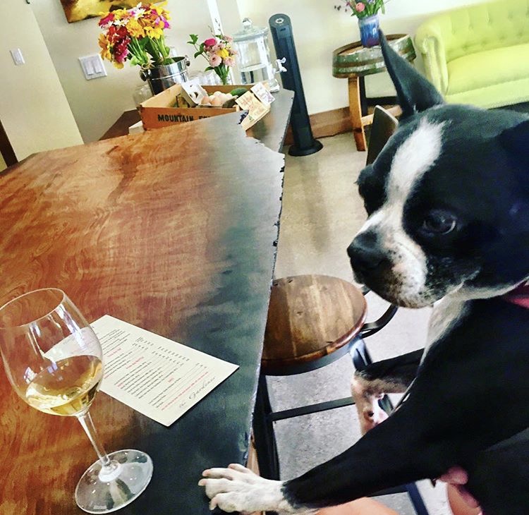 Dog Friendly Hotels Windsor Dog Friendly Hotels Windsor
