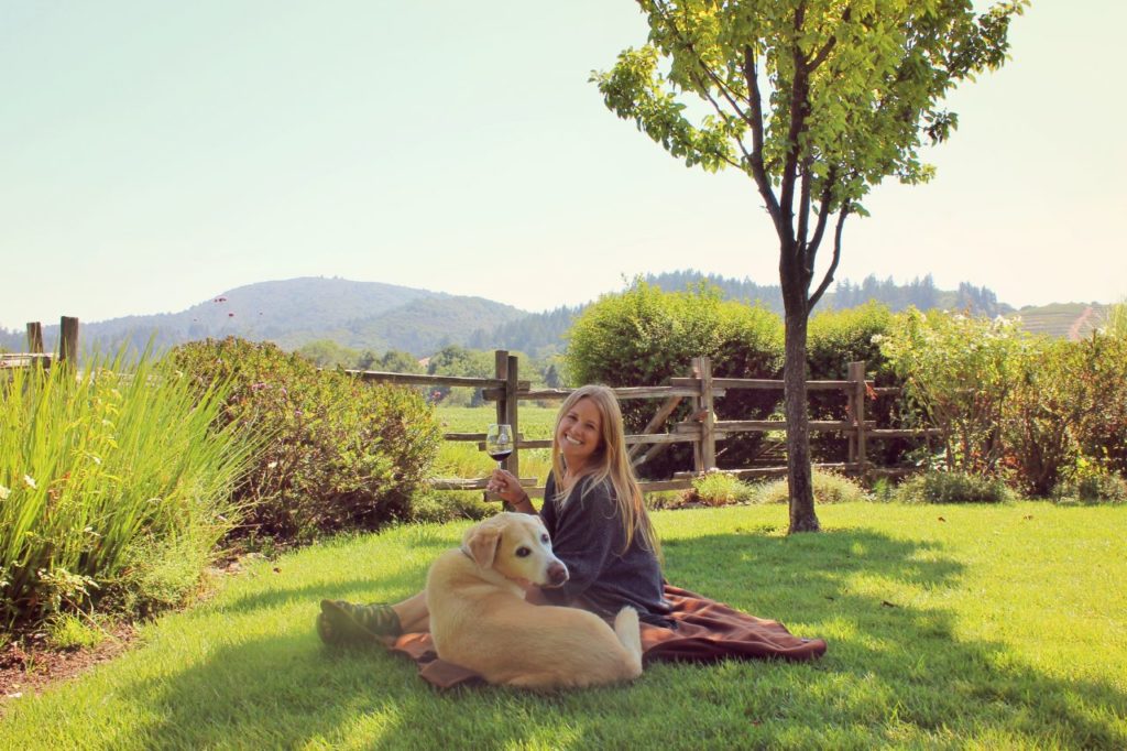 Dog Friendly Hotels Windsor Dog Friendly Hotels Windsor
