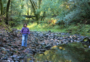 Janet Tonkin walks along Santa Rosa Creek in Hood Mountain Regional Park, near Santa Rosa on Tuesday, October 1, 2013. (Christopher Chung/ The Press Democrat)