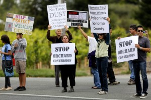 Protesters of the Watertrough Rd orchard conversion picket outside Paul Hobbs Winery in Sebastopol, California on Monday, July 29, 2013. (BETH SCHLANKER/ The Press Democrat) 