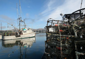 The Relentless leaves the Spud Point Marina to set their pots on Monday morning, November 28, 2011 after reaching a price of $2.25 per pound and ending the 13-day delay of the season.