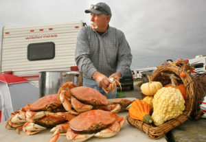 Fred Stewart, of Woodland cleans crabs he caught in Bodega Bay while camping at the Doran Beach campground. Stewart and his family have been camping and crab fishing the past 34 Thanksgiving weekends.
