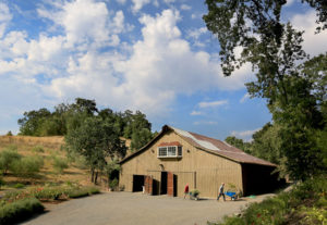 Sandra Jordan converted a large barn on her Windsor property in to an art gallery and reception venue for the Santa Rosa Symphony among others. (Kent Porter / Press Democrat) 2013