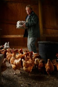 Jason Gooch carrying an assortment of freshly laid eggs at Wyland Orchards his family owned and operated pastured egg ranch in Petaluma, California.(Photo by Erik Castro)