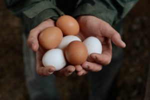 ason Gooch with an assortment of freshly laid eggs at Wyland Orchards his family owned and operated pastured egg ranch in Petaluma, California. November 14, 2013. (Photoby Erik Castro)