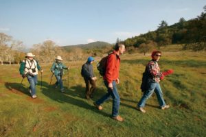 Jim Moir, volunteer docent at the Bouverie Preserve near Glen Ellen, leads hikers in small groups through the 500-acre preserve.