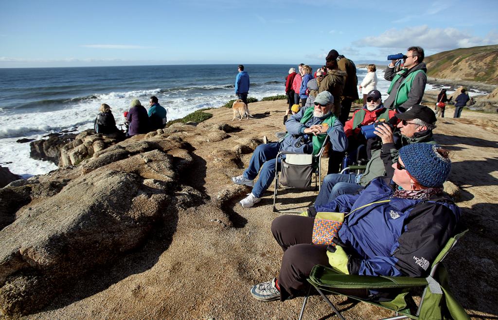 Louella Pizzuti, right, scans the horizon for migrating whales with Whale Watch volunteers Rod Palmieri, Jeremy Nichols and Larry Tiller at Bodega Head. (Christopher Chung/ The Press Democrat, file 2013)