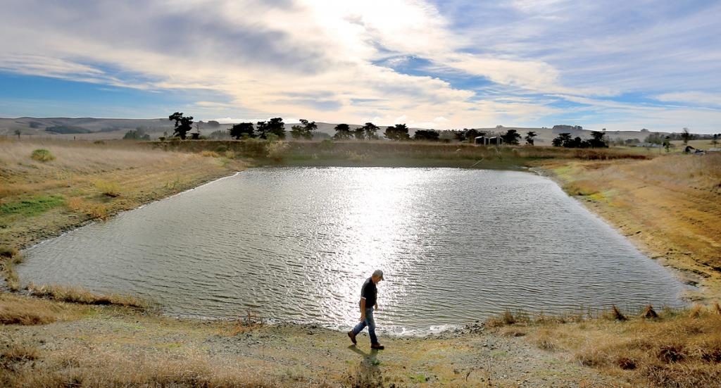 "I drove my ranch today, and it is a disaster." - Two Rock dairyman Don De Bernardi, whose shrinking irrigation pond should be filing with winter rain.