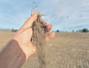 Dirt from a field, nearly fallow, easily separates in a coastal breeze at the Sonoma, Marin county line. (Kent Porter / Press Democrat) 