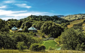  The Fryes’ pole- house compound is nestled in a wooded landscape. 