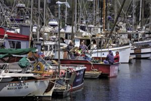  Fishermen in Bodega Bay prepare their boats in April in anticipation of the opening of the 2014 commercial salmon season. 