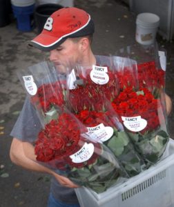 Nick Neve hauls a bucket of roses to his truck for delivery in Marin County from Neve Brothers, the family's rose nursery in Petaluma, as they prepare for the Valentines Day rose-buying frenzy. (Photo by Mark Aronoff, file 2011)