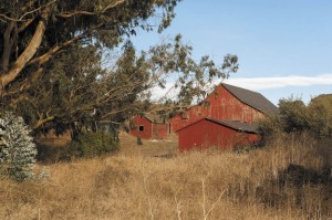 The large, red hay barn is part of the rustic beauty of the Straus property, which is still a working ranch. 