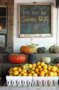 Green String Farm offers free tours every Saturday, but visitors are welcome to stop by anytime.