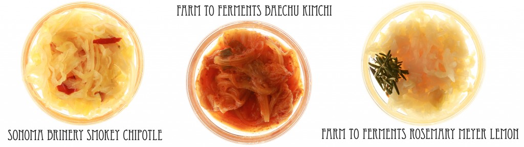 ferment1