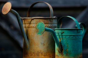 Antique watering cans at Urban Refind in Sonoma, California on Thursday, October 15, 2015. (Alvin Jornada / The Press Democrat)