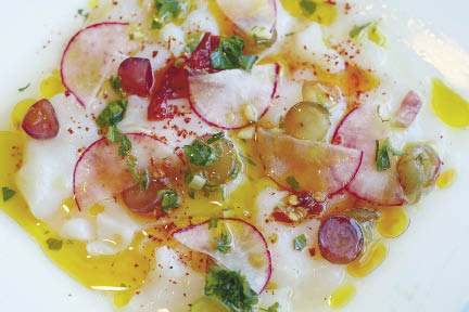 scallop_hazel_opt