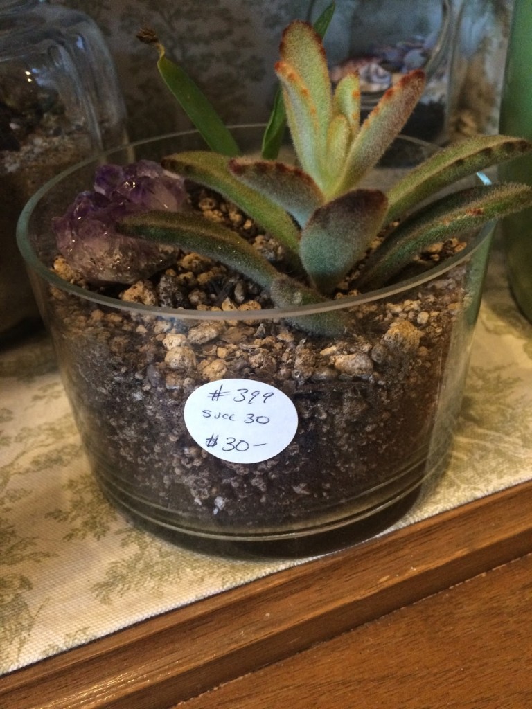 Made Local Marketplace has unique handmade gifts from local vendors, like this succulent terrarium. (Jenna Fischer / Press Democrat)