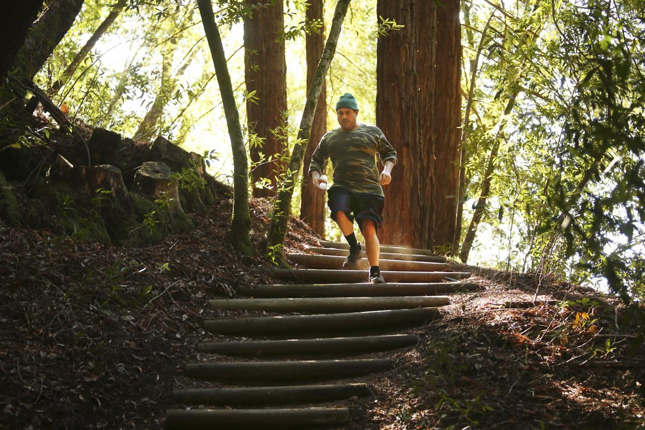 Stair-stepped hillsides help hikers and runners navitage Bartholomew Park's undulating trail. (Conner Jay/The Press Democrat)