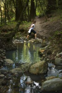 Small creeks run along the trials in Bartholomew Memorial Park near the heart of Sonoma. (Conner Jay/The Press Democrat)