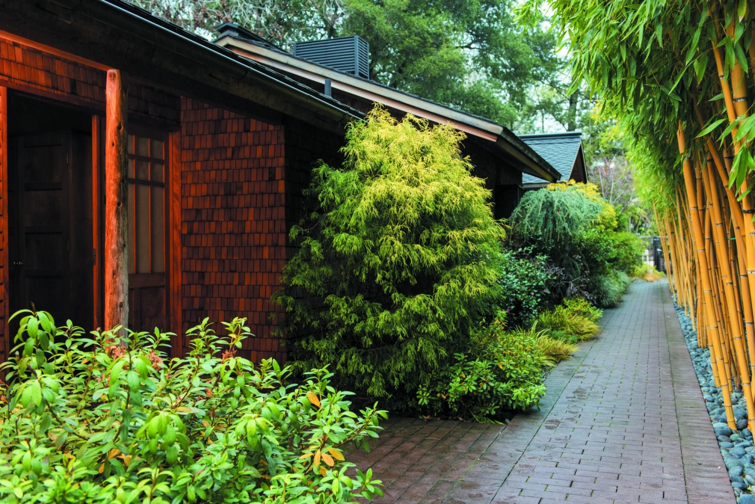 The detached Zen suites have the feel of a secluded sanctum. Photography by Rebecca Chotkowski.