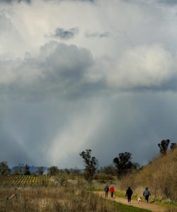 A hail shaft advances on hikers taking an afternoon walk at the Laguna de Santa Rosa Trail in Sebastopol. (Kent Porter / Press Democrat)