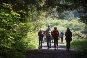 A group led by the Stewards of the Coast and Redwoods sets out on a therapy walk through Pomo Canyon Environmental Campground near Jenner. (Jeremy Portje / For The Press Democrat)