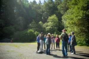 A group led by the Stewards of the Coast and Redwoods sets out on a therapy walk through Pomo Canyon Environmental Campground. (Jeremy Portje / For The Press Democrat)