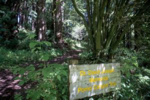 The trailhead at Pomo Canyon Environmental Campground near Jenner. (Jeremy Portje / For The Press Democrat)