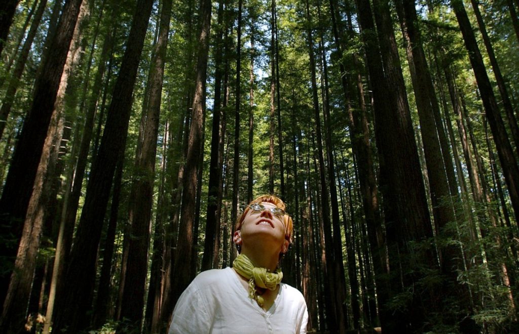 De-Stress with forest bathing