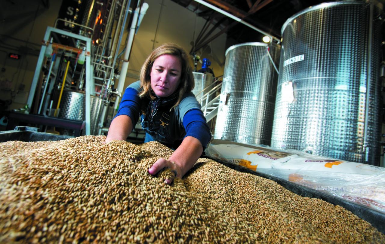 Ashby Marshall measures out whole grains before creating the mash for the gin, whiskey and vodka produced at Spirit Works Distillery in Sebastopol. (Photo by John Burgess)
