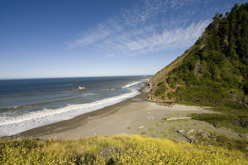 lost-coast-trail-3