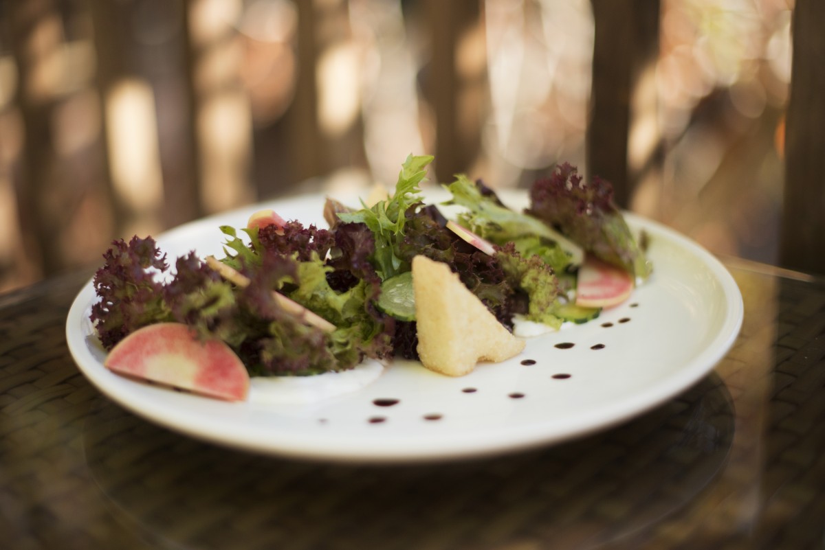 Burrata salad with Gravenstein apples, baby greens, cucumbers and aged balsamic at Rancho Nicasio Bar and Restaurant in Nicasio, California, August 13, 2016. (Photo: Erik Castro/for The Press Democrat)