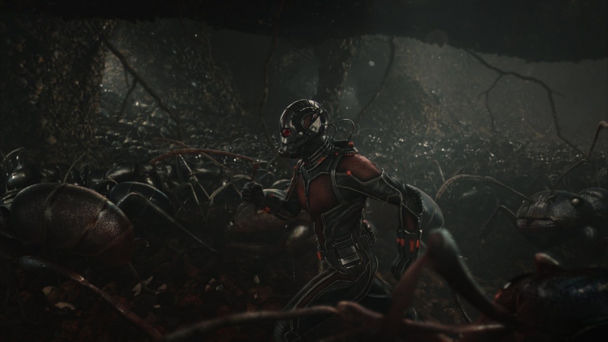 Paul Rudd in "Ant Man." (Photo Courtesy IMDB)