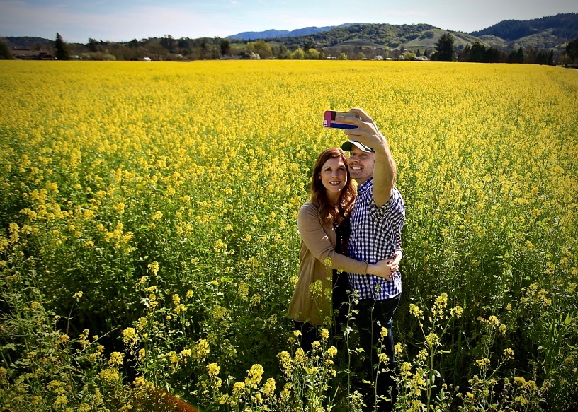 22 Most Instagram Worthy Spots In Sonoma County Sonoma Magazine