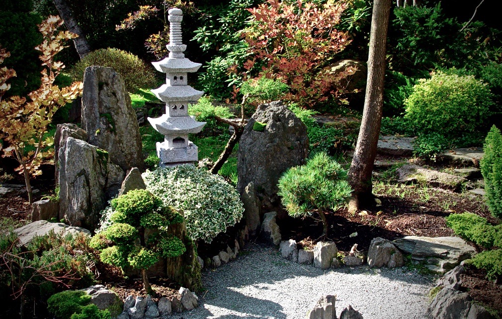 backyard japanese rock garden