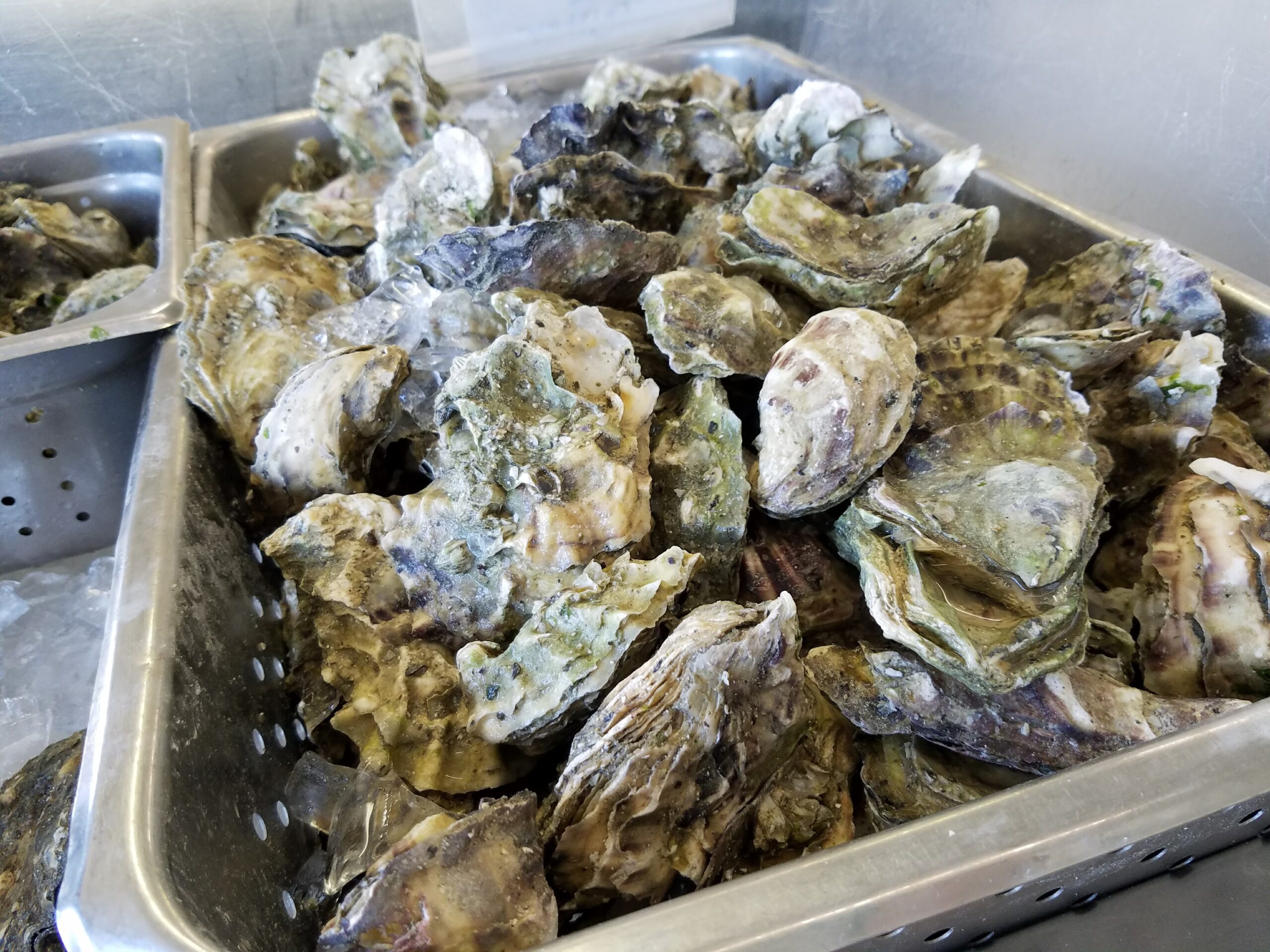Oysters at Santa Rosa Seafood in 2016 (Heather Irwin)