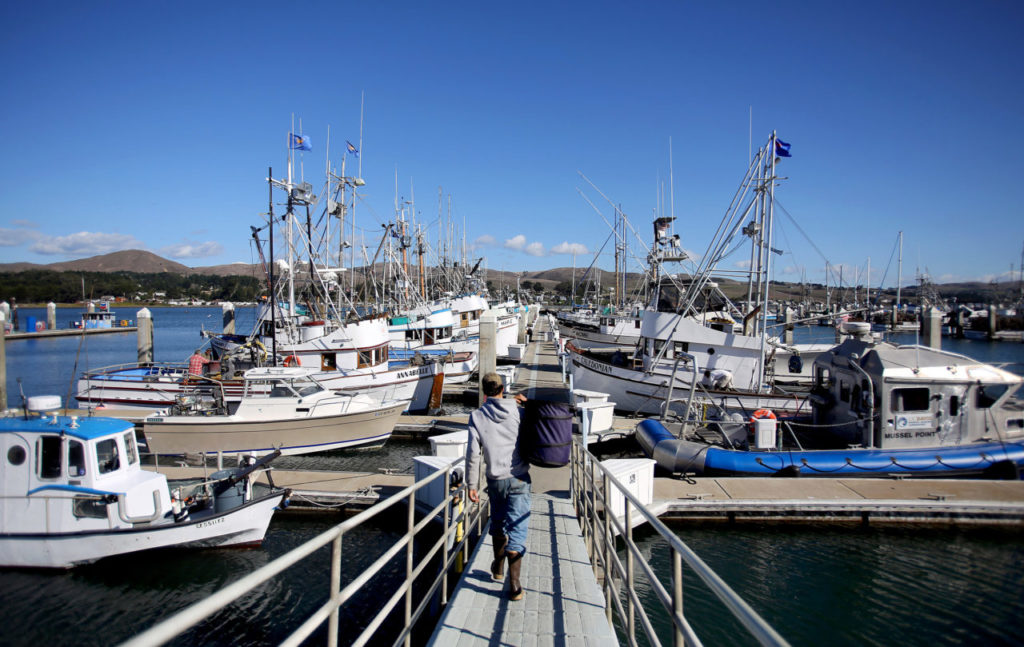 Crab Pots at Spud Point Crab Company