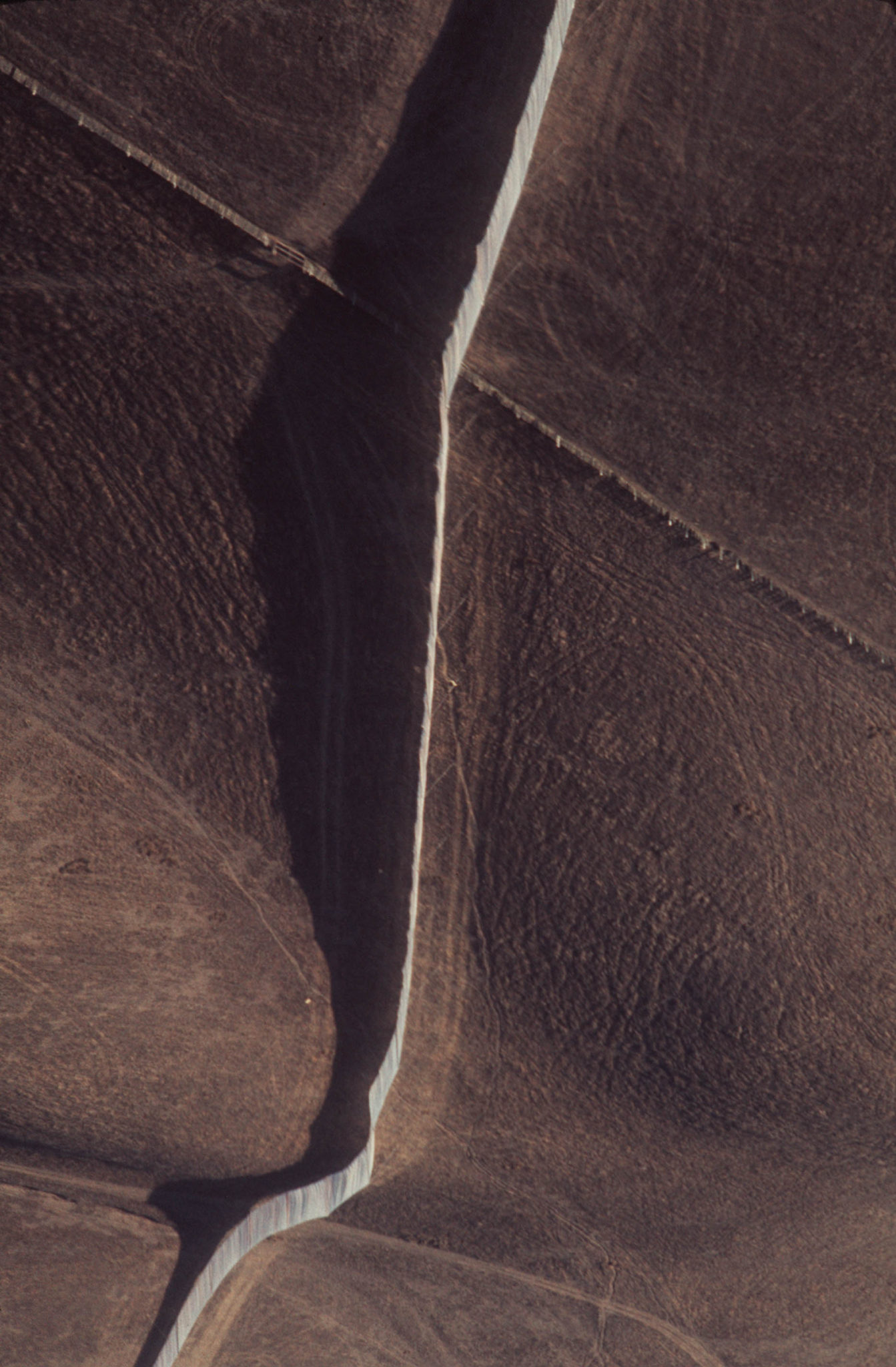 Pastures well-worn with cow paths are bisected by the Running Fence as it crosses rural Sonoma County near Bloomfield. Color photo by John LeBaron