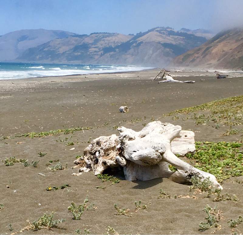 The Mattole River empties into the ocean along the Lost Coast. (Virginia Mason / The Press Democrat)