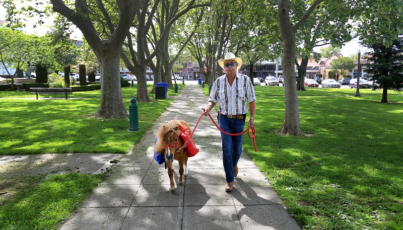 James Cannard leads Peanut Butter to Sonoma City Hall, Thursday April 14, 2016 to deliver petitions against the ban on leaf blowers in Sonoma. (Kent Porter / Press Democrat) 2016   Kent Porter